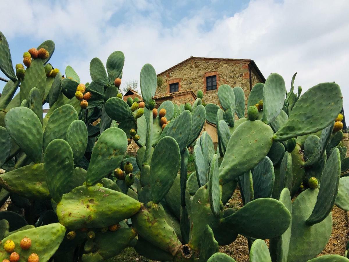 Casetta Tre Poderi Appartamento Cactus Monte Cucco Εξωτερικό φωτογραφία